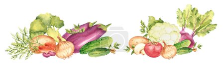Eine Reihe pflanzlicher Kompositionen. Blumenkohl, Gurken und Rüben. Tomaten und Champignon, Kartoffeln und Petersilie, Zwiebeln. Brokkoli, Auberginen und Karotten. Nierenbohnen. Handgezeichnetes botanisches Aquarell