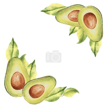 Avocado Ecke Kompositionen mit Avocado halbe Frucht und Blätter. Botanische pflanzliche handgezeichnete Aquarell-Illustration isoliert auf weißem Hintergrund. Kann für Karten, Logos und Textildesign verwendet werden
