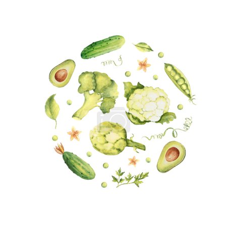 Verduras verdes colocadas en un círculo aislado sobre fondo blanco. Pepino, aguacate y perejil. Brócoli, coliflor y alcachofa. Ilustración de acuarela dibujada a mano en estilo vintage. Para tarjetas