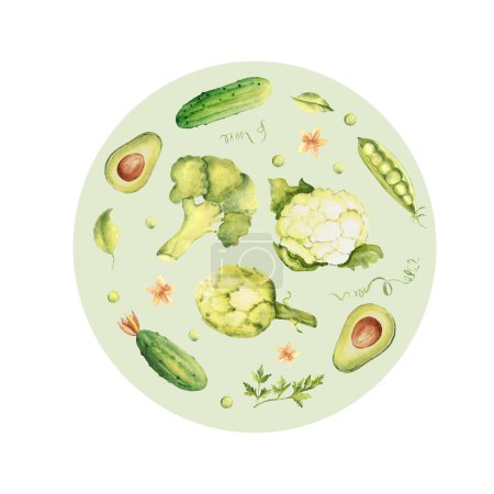 Green vegetables set in a circle. Cucumber, avocado and parsley plant. Broccoli, cauliflower and artichoke. Hand drawn watercolor illustration in vintage style. For cards, posters and logo or emblem