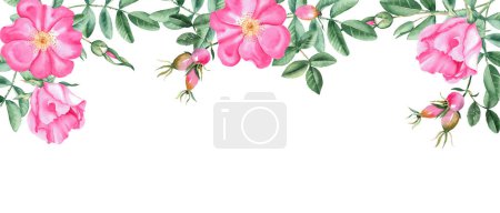 Banner rosa para perros con flores, bayas y ramas rosas. Marco horizontal acuarela, borde. Ilustración hecha a mano. Perfecto como banner web, tarjeta y plantilla de invitación, para un diseño romántico