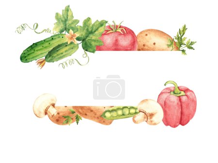 Vegetables Horizontal Frame, border. Cucumbers, Tomato and champignon, potato and paprika, peas. Botanical hand drawn watercolor illustration isolated on white background. Can be used for cards, logos