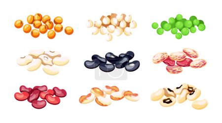 Conjunto de frijoles de colores en estilo de dibujos animados. Ilustración vectorial de varios frijoles alimentarios: lentejas, garbanzos, guisantes verdes, rojos y negros, de ojos negros, frijoles pinto aislados sobre fondo blanco.