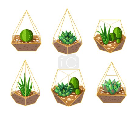 Illustration for Set of beautiful florarium in cartoon style. Vector illustration of glass florarium of different geometric shapes with succulents and cacti, aloe vera, stones isolated on white background. - Royalty Free Image