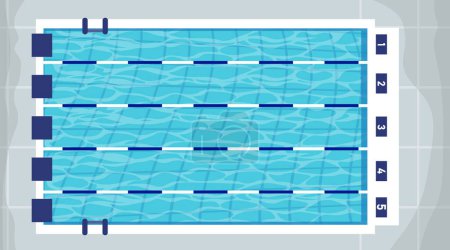 Vector illustration of top view swimming pool. Cartoon swimming pool with numbered lanes, jumps and ladders.