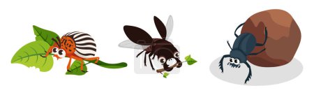Conjunto de coloridos escarabajos en estilo de dibujos animados. Ilustración vectorial del escarabajo de la patata de Colorado, el escarabajo estiércol empuja una bola de barro y el escarabajo ciervo vuela con ramas sobre fondo blanco.