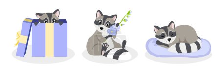 Vector illustration of a cute and beautiful raccoon on white background. Charming characters in different poses hide in gift boxes, sit with flowers, sleep on pillows in cartoon style.