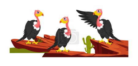 Téléchargez les illustrations : Illustration vectorielle d'un vautour africain mignon et beau sur fond blanc. Personnages vautours charmants sur le rock et avec des cactus dans différentes poses et émotions dans le style de dessin animé. - en licence libre de droit