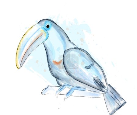 Téléchargez les illustrations : Aquarelle vecteur oiseau Tucano. affiche bleue - en licence libre de droit