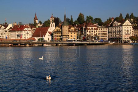 Photo for Lucerne, Switzerland-09.05.2018: Photo with the view of Lake Lucerne waterfront with historic buildings and swans in the foreground - Royalty Free Image