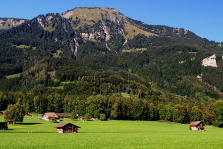 Photo for Landscape view of a meadow at the foot of the Swiss Alps with barns in the town of Ballenberg, near Brienz, Switzerland - Royalty Free Image