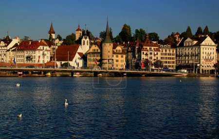 Photo for Lucerne, Switzerland-09.05.2018: Photo with the view of Lake Lucerne waterfront with historic buildings and swans in the foreground - Royalty Free Image