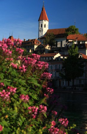 Photo for Thun, Switzerland - 09.11.2018: Photo with the view of the clock tower and castle of Thun with pink flowers in the foreground in the city of Thun, Switzerland - Royalty Free Image