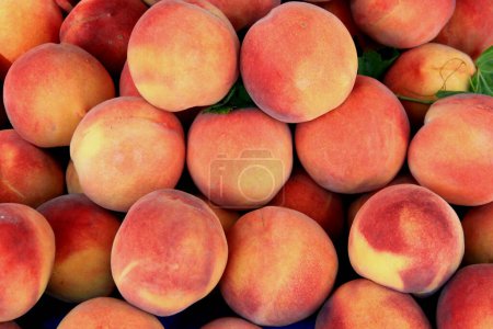 Foto de Foto de grandes melocotones jugosos maduros dulces de color naranja-rosa - Imagen libre de derechos