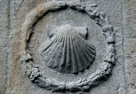 Photo for Santiago de Compostela, Spain - November 28, 2021: Photo of a stone mollusk shell on the wall of St. James Cathedral, a symbol of pilgrims and the Camino de Santiago - Royalty Free Image