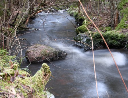 Téléchargez les photos : Beautiful stream in the forest in Finland - en image libre de droit