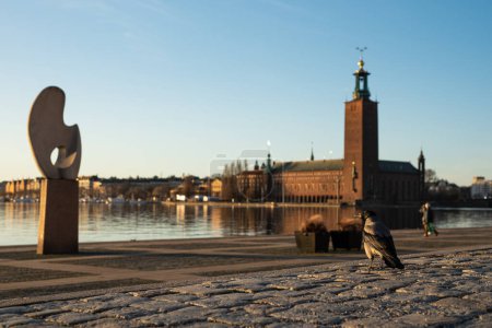 Foto de Estocolmo, Suecia - 14 de febrero de 2023: Ayuntamiento de Estocolmo (Stockholms stadshus) en la soleada noche foto vertical con reflexión con cuervo divertido en primer plano - Imagen libre de derechos