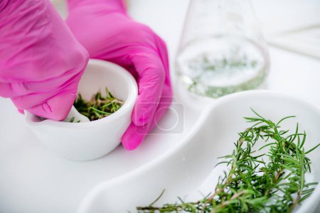Photo for Aromacology. Female Aromacology Expert Preparing Ingredients for Fragrances. - Royalty Free Image