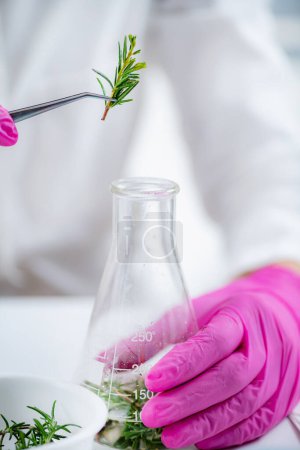 Photo for Fragrance Laboratory. Scientist Mixing Plants, Preparing Fragrance Ingredients. - Royalty Free Image