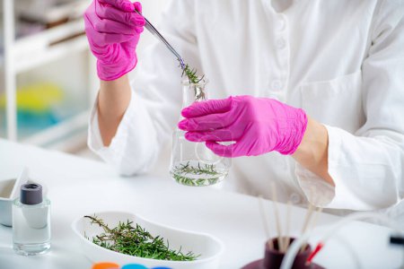 Téléchargez les photos : Expert en aromacologie Préparer la fiole avec des ingrédients parfumés - en image libre de droit