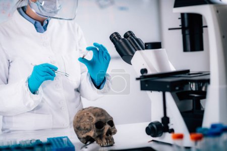 Téléchargez les photos : Jeune bioarchéologue femme analysant du matériel ostéologique humain dans un laboratoire
. - en image libre de droit