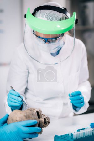 Foto de Bioarqueología. Joven arqueóloga analizando cráneo humano en antiguo laboratorio de ADN
. - Imagen libre de derechos