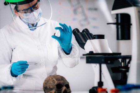 Téléchargez les photos : Jeune bioarchéologue femme analysant du matériel ostéologique humain dans un laboratoire
. - en image libre de droit