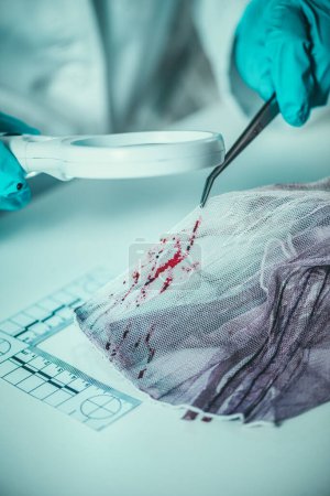 Foto de Ciencias forenses en el laboratorio. Científico forense examinando textiles con evidencias de sangre - Imagen libre de derechos