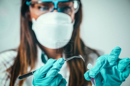 Photo for Forensic Science in Lab. Forensic Scientist examining haor with DNK evidences - Royalty Free Image