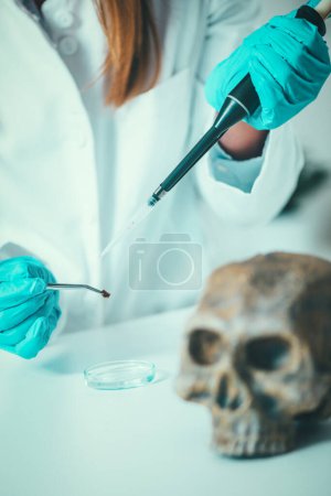 Foto de Ciencias forenses en el laboratorio. Científico forense examinando cráneo con evidencias - Imagen libre de derechos