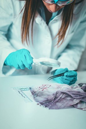 Foto de Ciencias forenses en el laboratorio. Científico forense examinando textiles con evidencias de sangre - Imagen libre de derechos