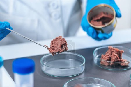 Téléchargez les photos : Microbiologiste préparant un échantillon d'aliments en conserve pour animaux de compagnie pour un test de contrôle de la qualité en laboratoire. - en image libre de droit