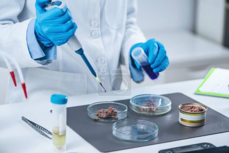 Foto de Microbiólogo preparando muestra de alimentos enlatados para mascotas para prueba de control de calidad en laboratorio. - Imagen libre de derechos