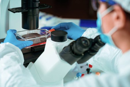 Foto de Un científico coloca cuidadosamente un matraz lleno de células en una placa de microscopio. El laboratorio está iluminado con luz blanca brillante - Imagen libre de derechos