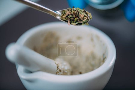 Photo for Grinding Cosmetic Ingredients Using Mortar and Pestle - Royalty Free Image