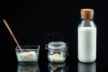 Téléchargez les photos : Grains probiotiques de kéfir. Grains de kéfir dans un bol et un bocal, et une bouteille de lait sur fond noir. - en image libre de droit