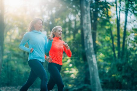 Téléchargez les photos : Deux femmes faisant du jogging en plein air dans le parc public à l'automne. - en image libre de droit