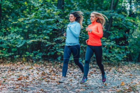 Téléchargez les photos : Femmes faisant du jogging en plein air dans un parc public. Automne, Automne. - en image libre de droit