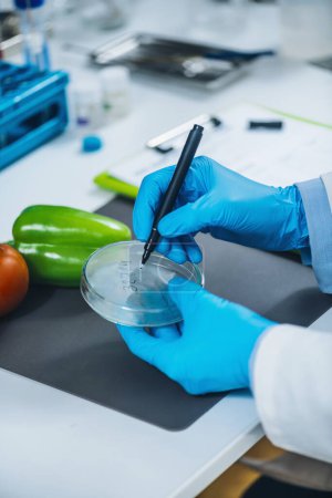 Food safety and quality analysis in a specialized microbiology laboratory, microbiologist working with fruit and vegetable samples-stock-photo