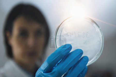Evaluación de la calidad de los alimentos en el Laboratorio de Microbiología, microbiólogo en el trabajo, examinando placas de Petri con muestras 