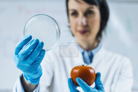 Photo for Food Quality Assessment in Microbiology Laboratory, Microbiologist at work, examining petri dishes with samples - Royalty Free Image
