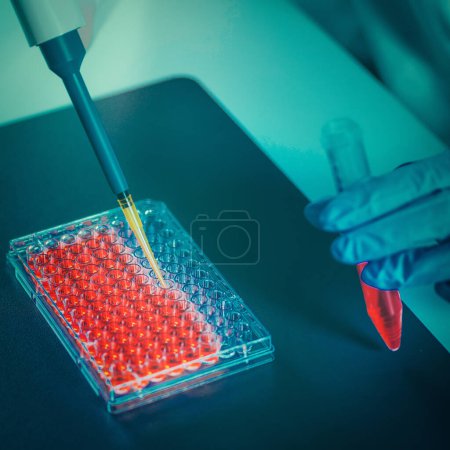 Téléchargez les photos : Ingénieur en biotechnologie inspectant la fiole de culture cellulaire - en image libre de droit