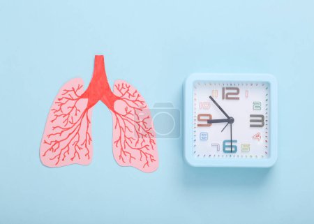 Téléchargez les photos : Papier découpé anatomiques poumons humains avec horloge sur fond pastel bleu. Vue du dessus - en image libre de droit