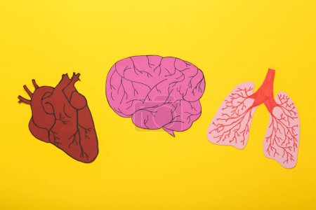 Foto de Pulmones humanos anatómicos cortados en papel, cerebro y corazón sobre fondo amarillo. Vista superior - Imagen libre de derechos