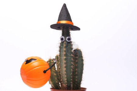 Stillleben zu Halloween. Kaktus mit Augen und Hexenhut, Süßigkeiteneimer isoliert auf weißem Hintergrund. Süßes oder Saures