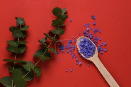 Téléchargez les photos : Spas, aromatherapy. Lavender bath salt with a sprig of eucalyptus on red background - en image libre de droit