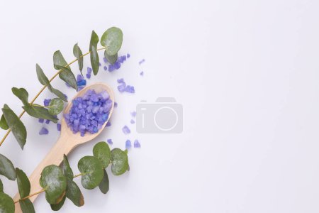 Téléchargez les photos : Spas, aromatherapy. Lavender bath salt with a sprig of eucalyptus on white background. Top view. Copy space - en image libre de droit