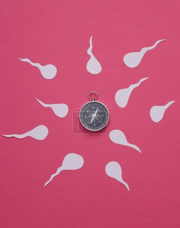 Photo for Human male spermatozoa with compass on a blue background. Reproduction system, ovulation - Royalty Free Image
