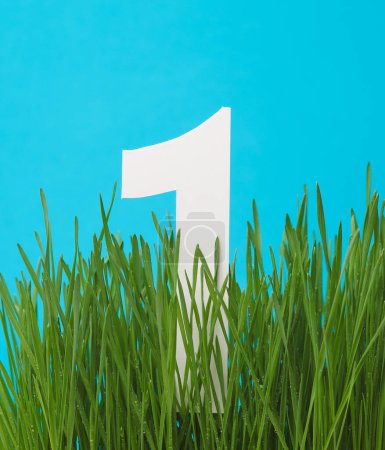 Téléchargez les photos : Numéro 1 parmi l'herbe verte sur un fond bleu - en image libre de droit