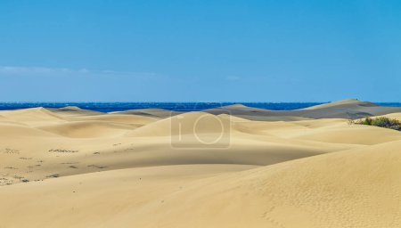 Photo for Maspalomas , Gran Canaria, Spain,view of the Sand Dunes National Park, with the Atlantic Ocean in the background - Royalty Free Image